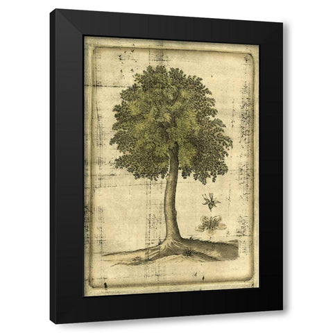 Printed Fruitful Realm II  Black Modern Wood Framed Art Print with Double Matting by Vision Studio