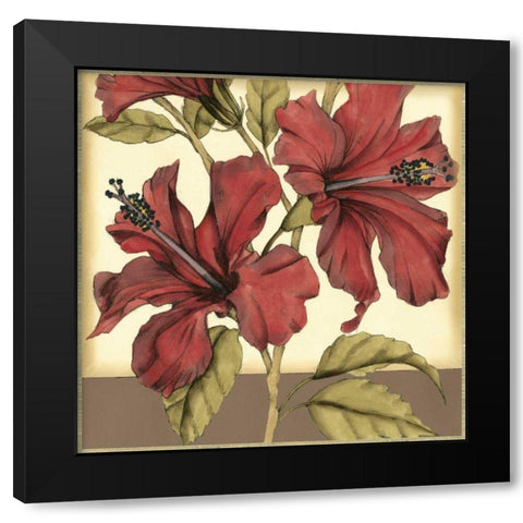 Cropped Sophisticated Hibiscus II Black Modern Wood Framed Art Print with Double Matting by Goldberger, Jennifer