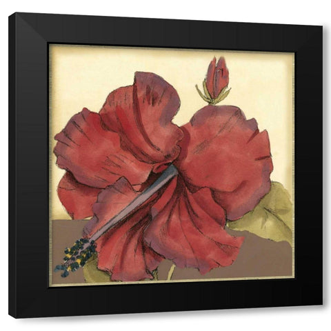 Cropped Sophisticated Hibiscus III  Black Modern Wood Framed Art Print with Double Matting by Goldberger, Jennifer