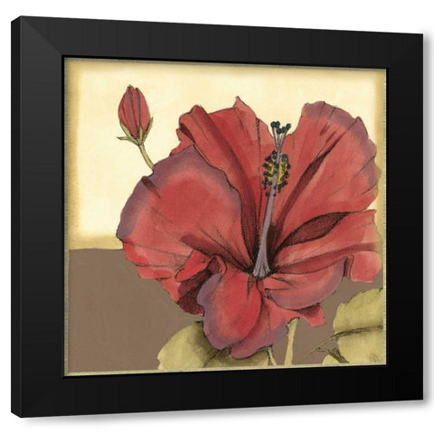 Cropped Sophisticated Hibiscus IV  Black Modern Wood Framed Art Print with Double Matting by Goldberger, Jennifer