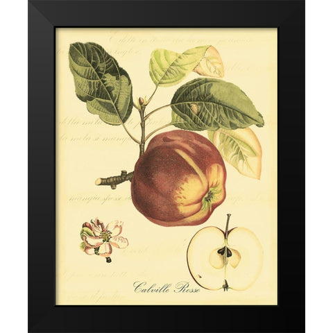 Petite Tuscan Fruits I Black Modern Wood Framed Art Print by Vision Studio