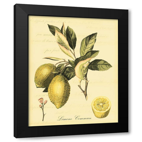 Petite Tuscan Fruits II Black Modern Wood Framed Art Print by Vision Studio