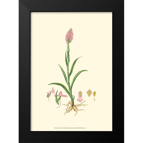 Curtis Garden I Black Modern Wood Framed Art Print by Curtis