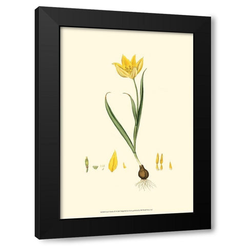 Curtis Garden IV Black Modern Wood Framed Art Print with Double Matting by Curtis
