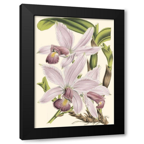 Mini Delicate Orchid I Black Modern Wood Framed Art Print by Vision Studio