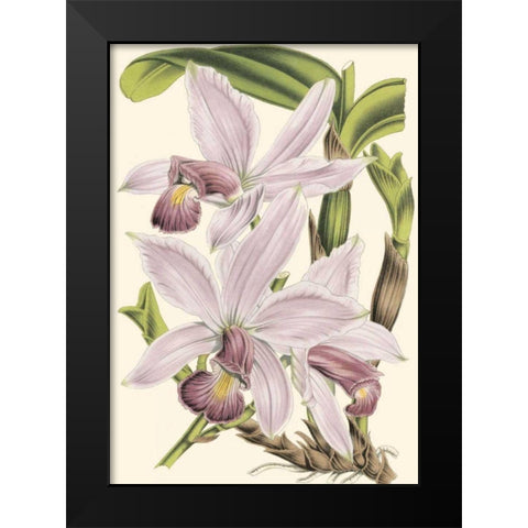 Mini Delicate Orchid I Black Modern Wood Framed Art Print by Vision Studio
