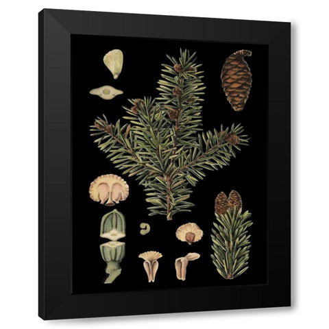 Small Dramatic Conifers I  Black Modern Wood Framed Art Print with Double Matting by Vision Studio