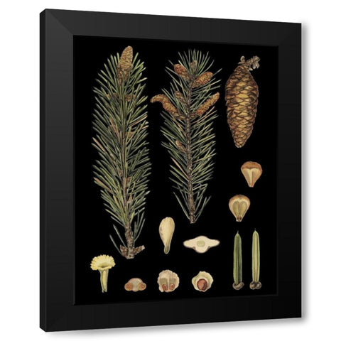 Small Dramatic Conifers IV Black Modern Wood Framed Art Print with Double Matting by Vision Studio