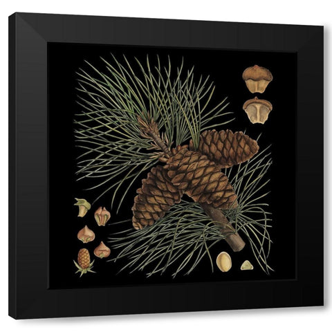 Small Dramatic Conifers V  Black Modern Wood Framed Art Print by Vision Studio
