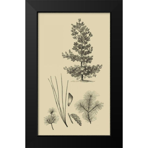 Arbor Study III Black Modern Wood Framed Art Print by Vision Studio