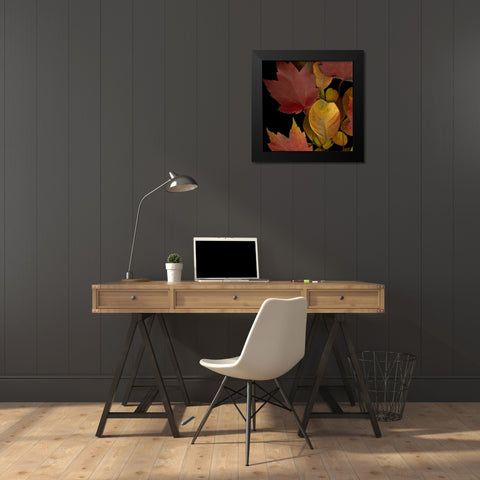 Small Vivid Leaves IV Black Modern Wood Framed Art Print by Vision Studio