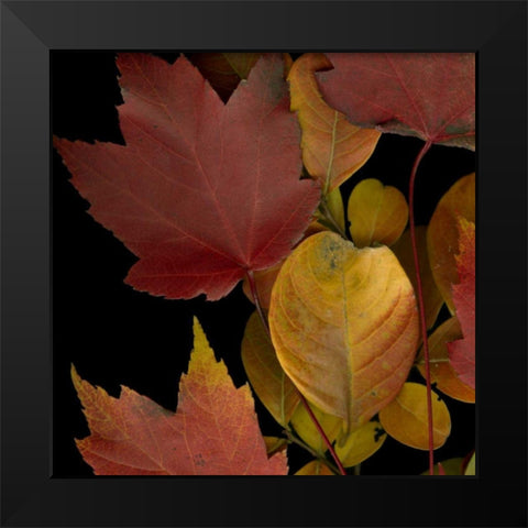 Small Vivid Leaves IV Black Modern Wood Framed Art Print by Vision Studio