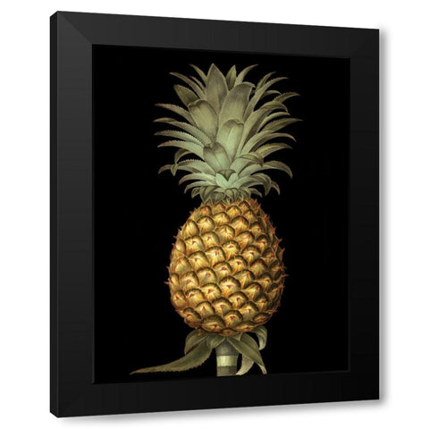 Custom Brookshaw Exotic Pineapple I (CR) Black Modern Wood Framed Art Print by Brookshaw, George