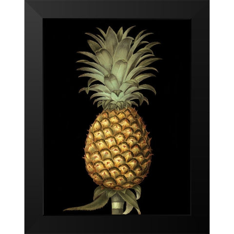 Custom Brookshaw Exotic Pineapple I (CR) Black Modern Wood Framed Art Print by Brookshaw, George