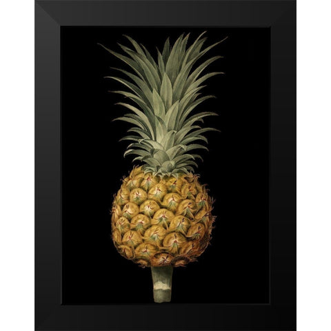 Custom Brookshaw Exotic Pineapple II (CR) Black Modern Wood Framed Art Print by Brookshaw, George