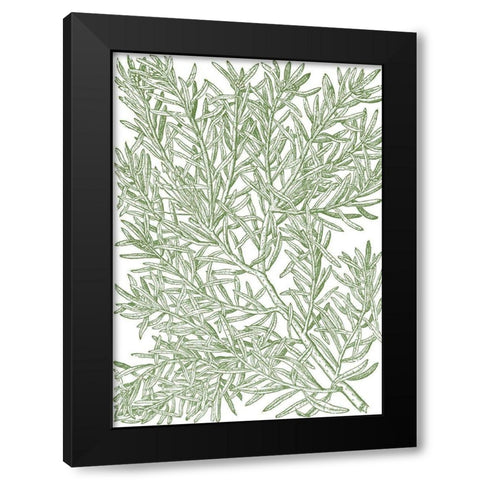 Mossy Branches I Black Modern Wood Framed Art Print by du Monceau, Duhamel