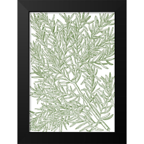 Mossy Branches I Black Modern Wood Framed Art Print by du Monceau, Duhamel