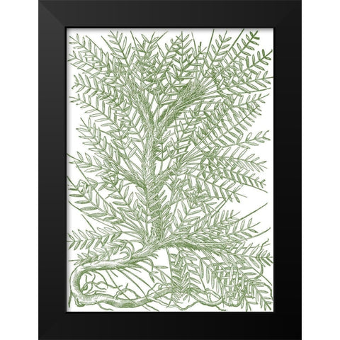 Mossy Branches III Black Modern Wood Framed Art Print by du Monceau, Duhamel