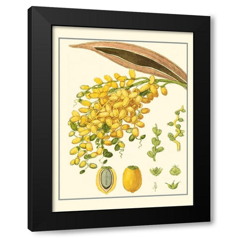 Turpin Tropicals VIII Black Modern Wood Framed Art Print with Double Matting by Turpin