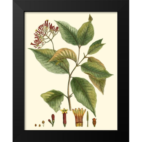 Crimson Botanical I Black Modern Wood Framed Art Print by Hierseman