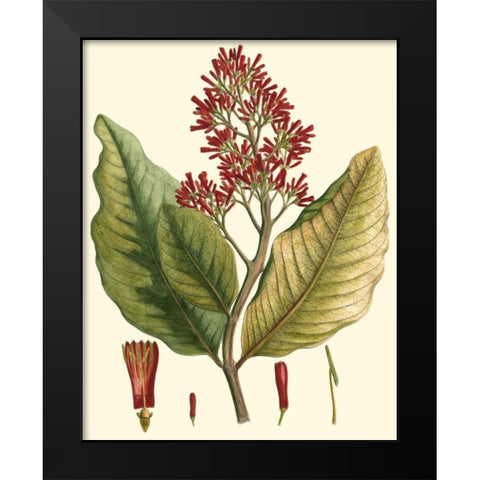 Crimson Botanical II Black Modern Wood Framed Art Print by Hierseman