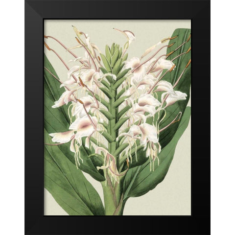 Small Orchid Blooms IV Black Modern Wood Framed Art Print by Vision Studio