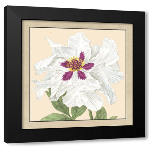 Small Peony Collection IV Black Modern Wood Framed Art Print with Double Matting by Vision Studio