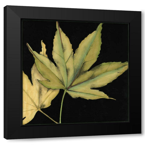 Small Tandem Leaves I Black Modern Wood Framed Art Print with Double Matting by Goldberger, Jennifer