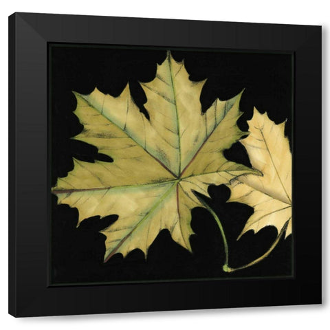 Small Tandem Leaves II Black Modern Wood Framed Art Print with Double Matting by Goldberger, Jennifer
