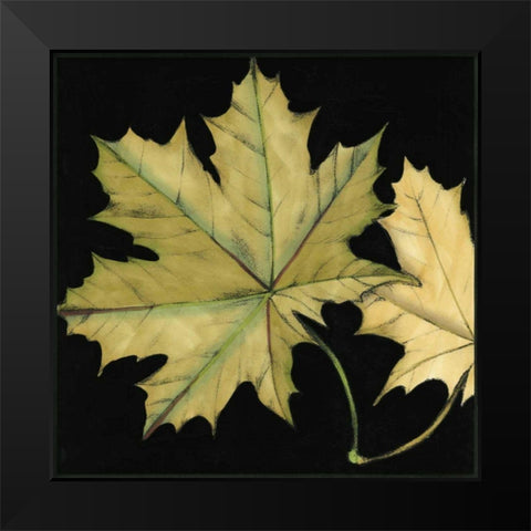 Small Tandem Leaves II Black Modern Wood Framed Art Print by Goldberger, Jennifer