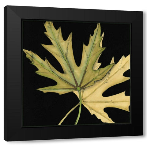 Small Tandem Leaves IV Black Modern Wood Framed Art Print with Double Matting by Goldberger, Jennifer