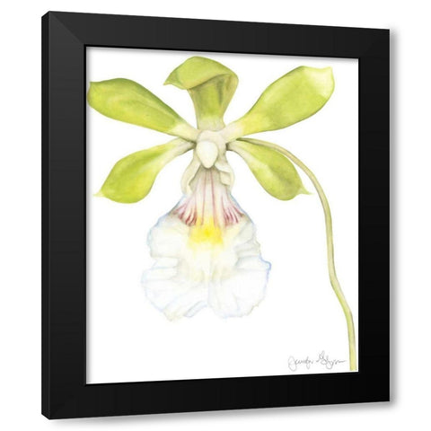 Small Orchid Beauty I Black Modern Wood Framed Art Print with Double Matting by Goldberger, Jennifer