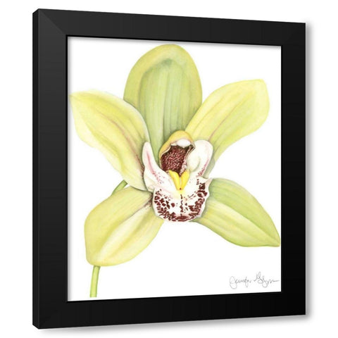 Small Orchid Beauty II Black Modern Wood Framed Art Print by Goldberger, Jennifer
