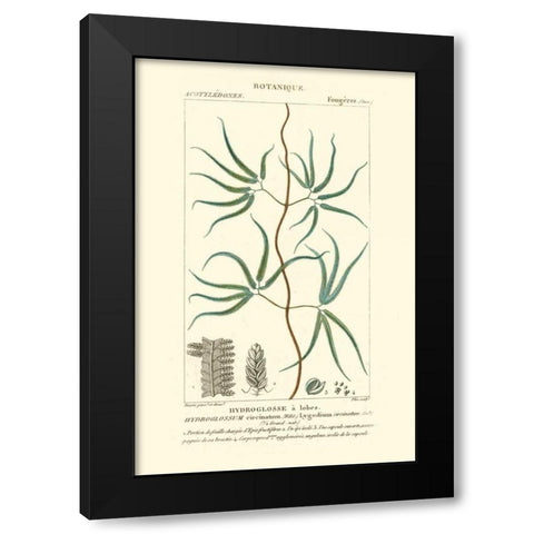 Turpin Botany II Black Modern Wood Framed Art Print with Double Matting by Turpin