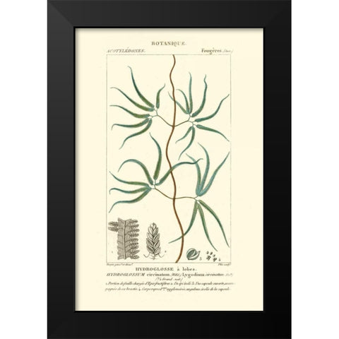 Turpin Botany II Black Modern Wood Framed Art Print by Turpin