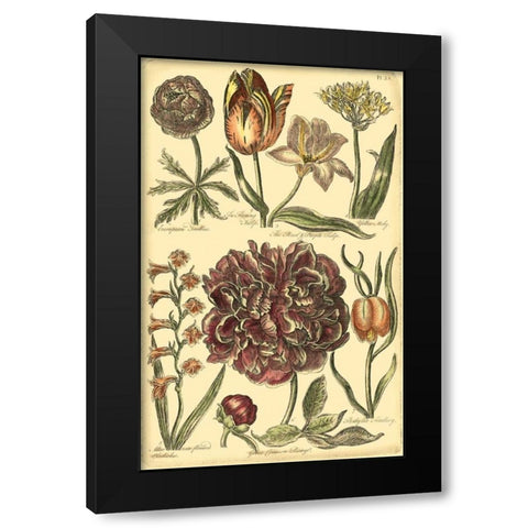 Floral Bounty V Black Modern Wood Framed Art Print by Vision Studio
