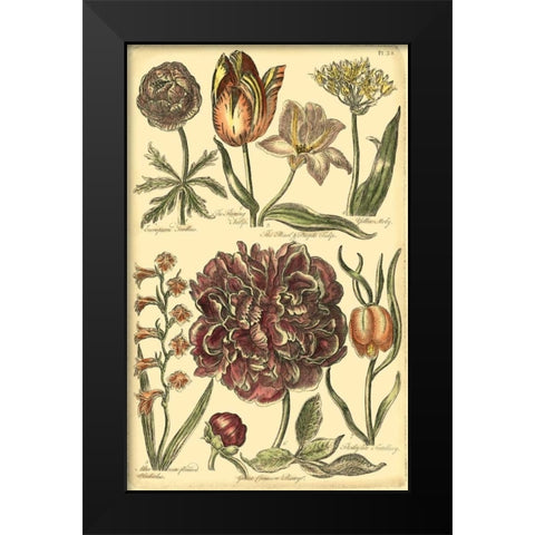 Floral Bounty V Black Modern Wood Framed Art Print by Vision Studio