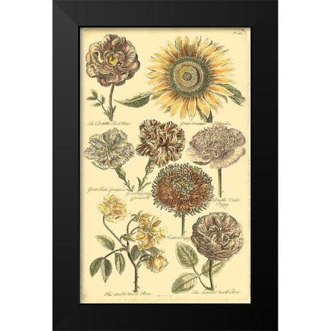 Floral Bounty VI Black Modern Wood Framed Art Print by Vision Studio