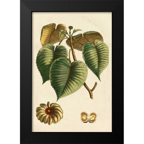 Small Seasonal Foliage I Black Modern Wood Framed Art Print by Vision Studio
