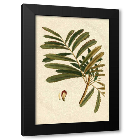 Small Seasonal Foliage II Black Modern Wood Framed Art Print by Vision Studio