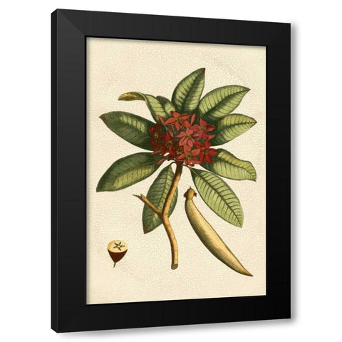 Small Seasonal Foliage III Black Modern Wood Framed Art Print with Double Matting by Vision Studio