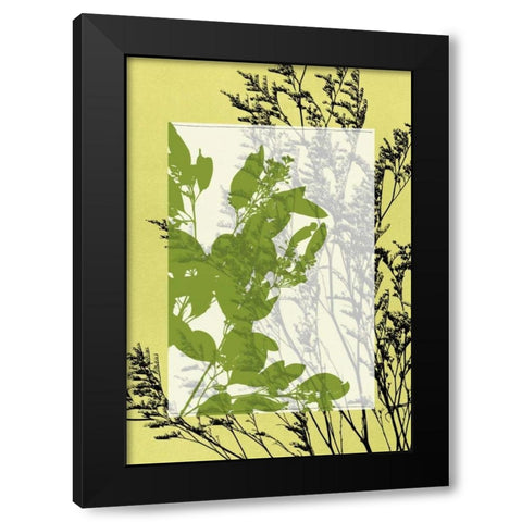 Small Translucent Wildflowers III Black Modern Wood Framed Art Print with Double Matting by Goldberger, Jennifer