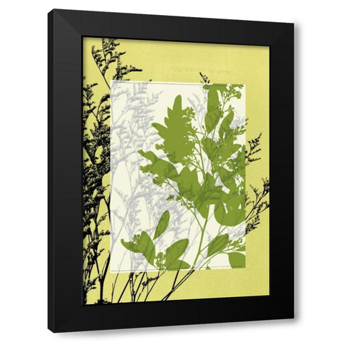 Small Translucent Wildflowers IV Black Modern Wood Framed Art Print with Double Matting by Goldberger, Jennifer