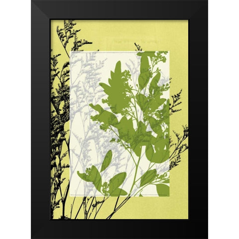 Small Translucent Wildflowers IV Black Modern Wood Framed Art Print by Goldberger, Jennifer