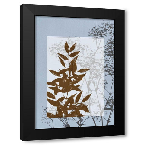 Small Translucent Wildflowers V Black Modern Wood Framed Art Print with Double Matting by Goldberger, Jennifer