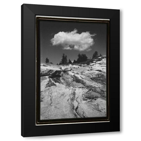Cloud Dream Black Modern Wood Framed Art Print with Double Matting by DeNardo, Laura