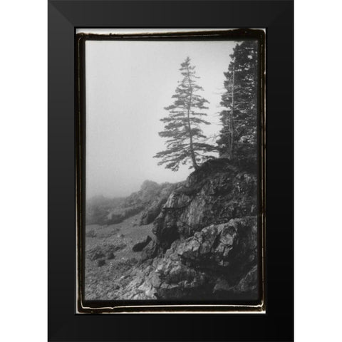 Lone Tree Black Modern Wood Framed Art Print by DeNardo, Laura