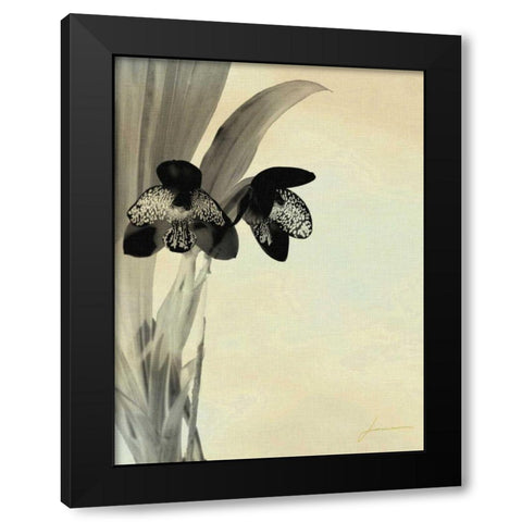 Orchid Blush Panels I Black Modern Wood Framed Art Print by Burghardt, James