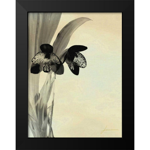 Orchid Blush Panels I Black Modern Wood Framed Art Print by Burghardt, James
