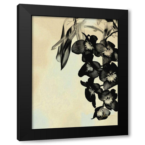 Orchid Blush Panels II Black Modern Wood Framed Art Print by Burghardt, James